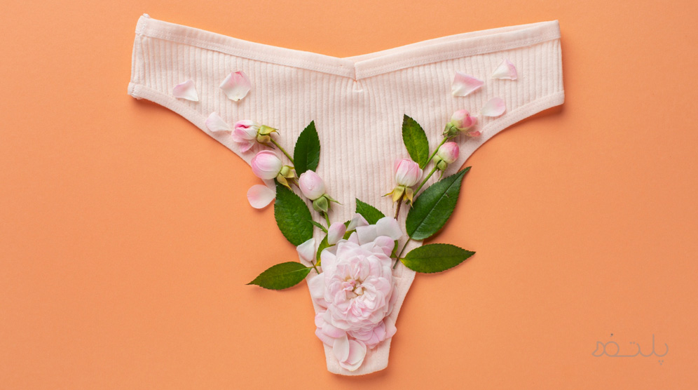 شورت لامبادا برای چیست