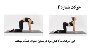 تمرین حرکت گربه در پیلاتس